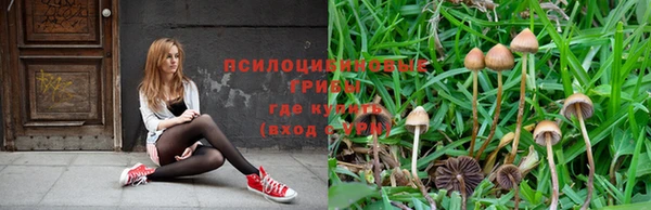 jwh Магас