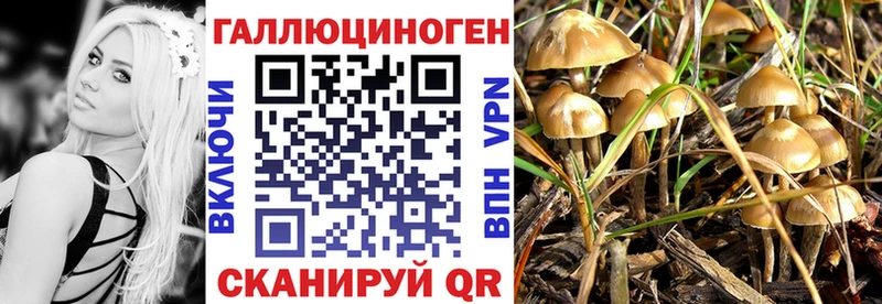 Купить закладки  Могоча  Галлюциногенные грибы ЛСД 